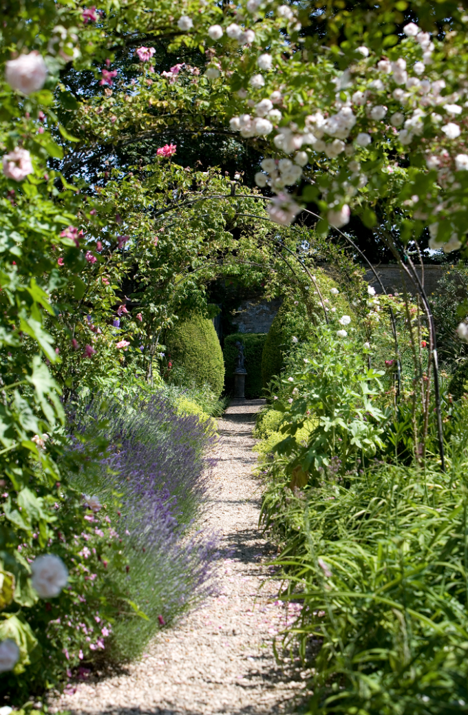 Tunnel walk of rose arches in Guyers House gardens