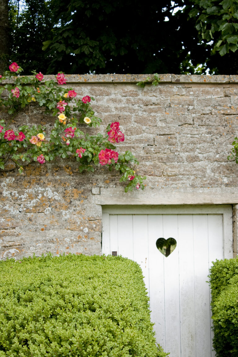 Flowers climbing along walled garden with shrubs and small white wooden gate with heart in the centre